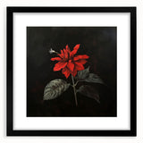 Elegant black-framed wall art featuring a botanical poinsettia design with intricate floral details, ideal for enhancing home decor and bringing nature indoors.
