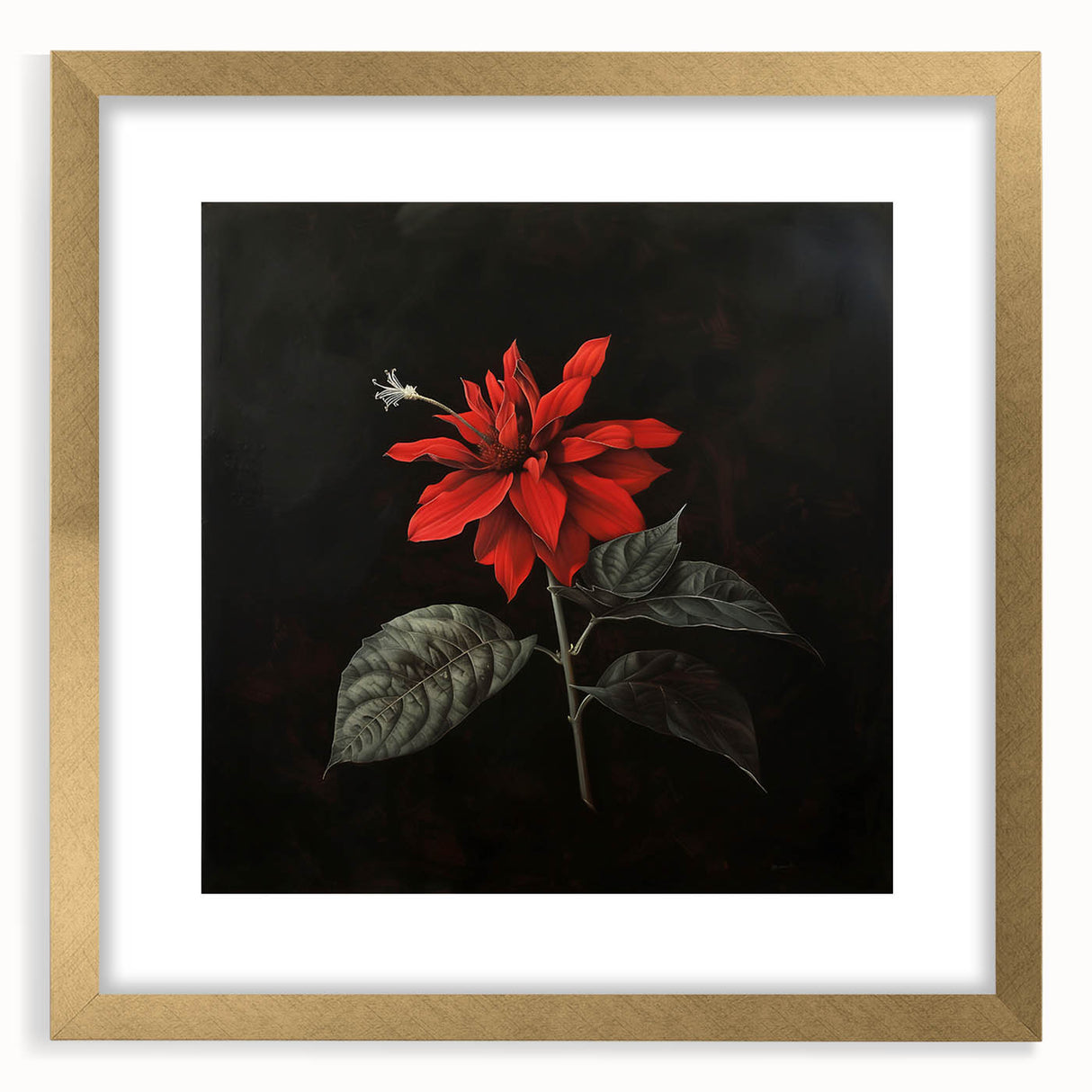 Elegant botanical wall art featuring a poinsettia design in a gold frame with matting, perfect for home decor and festive holiday aesthetics.