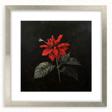 Elegant botanical wall art featuring a poinsettia design in a silver frame with matting, showcasing vibrant colors and intricate details, perfect for home decor.