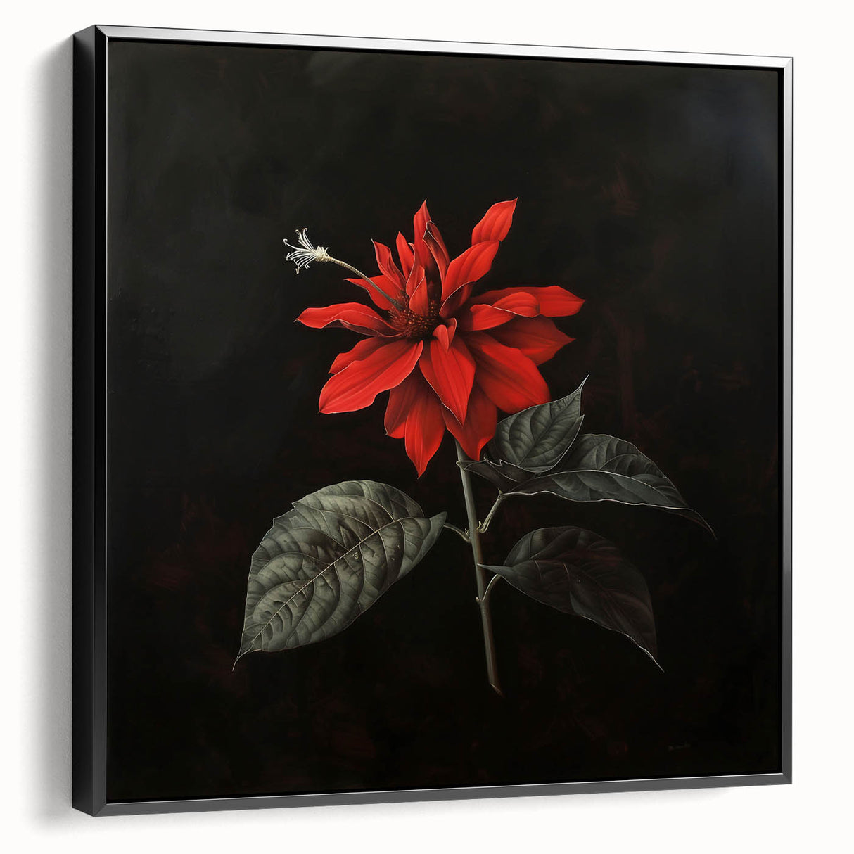 Framed canvas wall art showcasing a botanical poinsettia design in vibrant colors, presented in a stylish black frame, perfect for home decor enhancement.