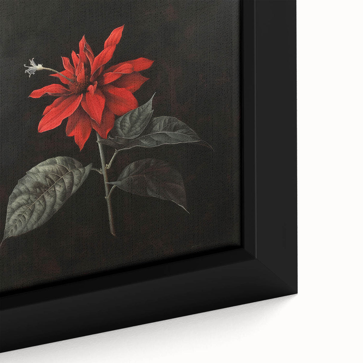 Close-up of a vibrant, framed botanical poinsettia wall art piece, showcasing intricate floral details and rich colors, perfect for home decor enthusiasts.