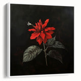 Framed canvas wall art featuring a botanical poinsettia design, showcasing vibrant red and green colors against a white background, perfect for home decor.