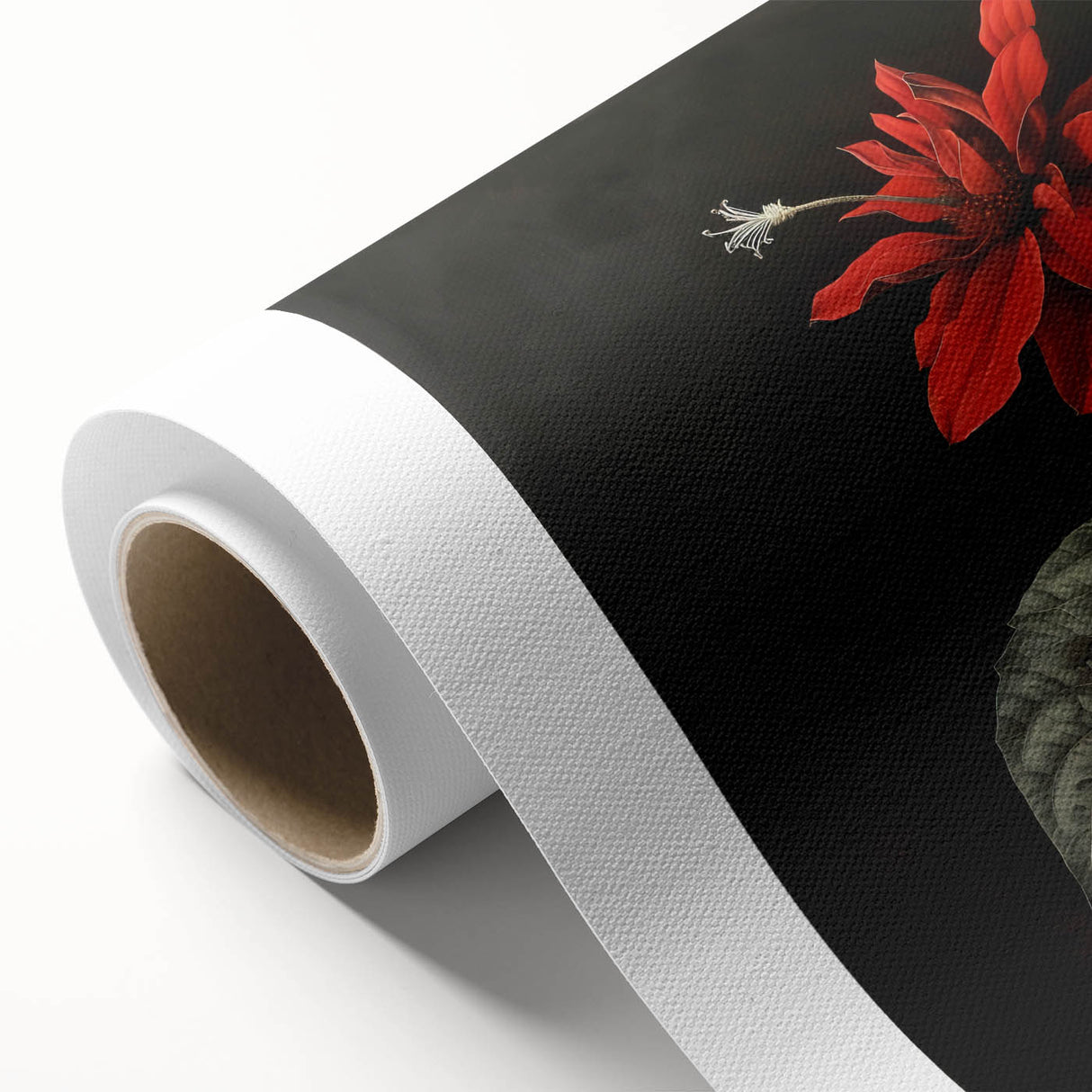 Vibrant rolled canvas showcasing a botanical poinsettia design, featuring rich colors and intricate details, perfect for home decor and floral enthusiasts.