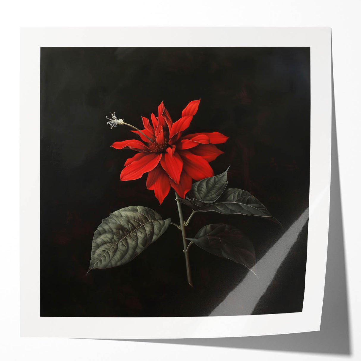 Botanical wall art print featuring a vibrant poinsettia design with rich red and green colors, rolled for shipping in a protective cardboard tube. Ideal for home décor.