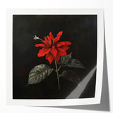 Botanical wall art print featuring a vibrant poinsettia design with rich red and green colors, rolled for shipping in a protective cardboard tube. Ideal for home décor.