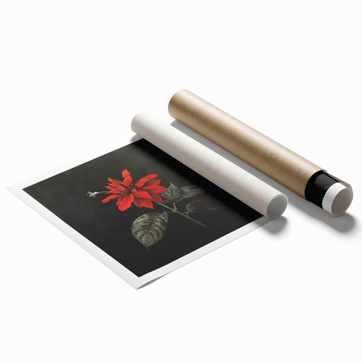 Botanical wall art featuring a vibrant poinsettia design in rich red and green colors, rolled for easy framing and display, perfect for home decor enthusiasts.