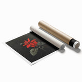 Botanical wall art featuring a vibrant poinsettia design in rich red and green colors, rolled for easy framing and display, perfect for home decor enthusiasts.