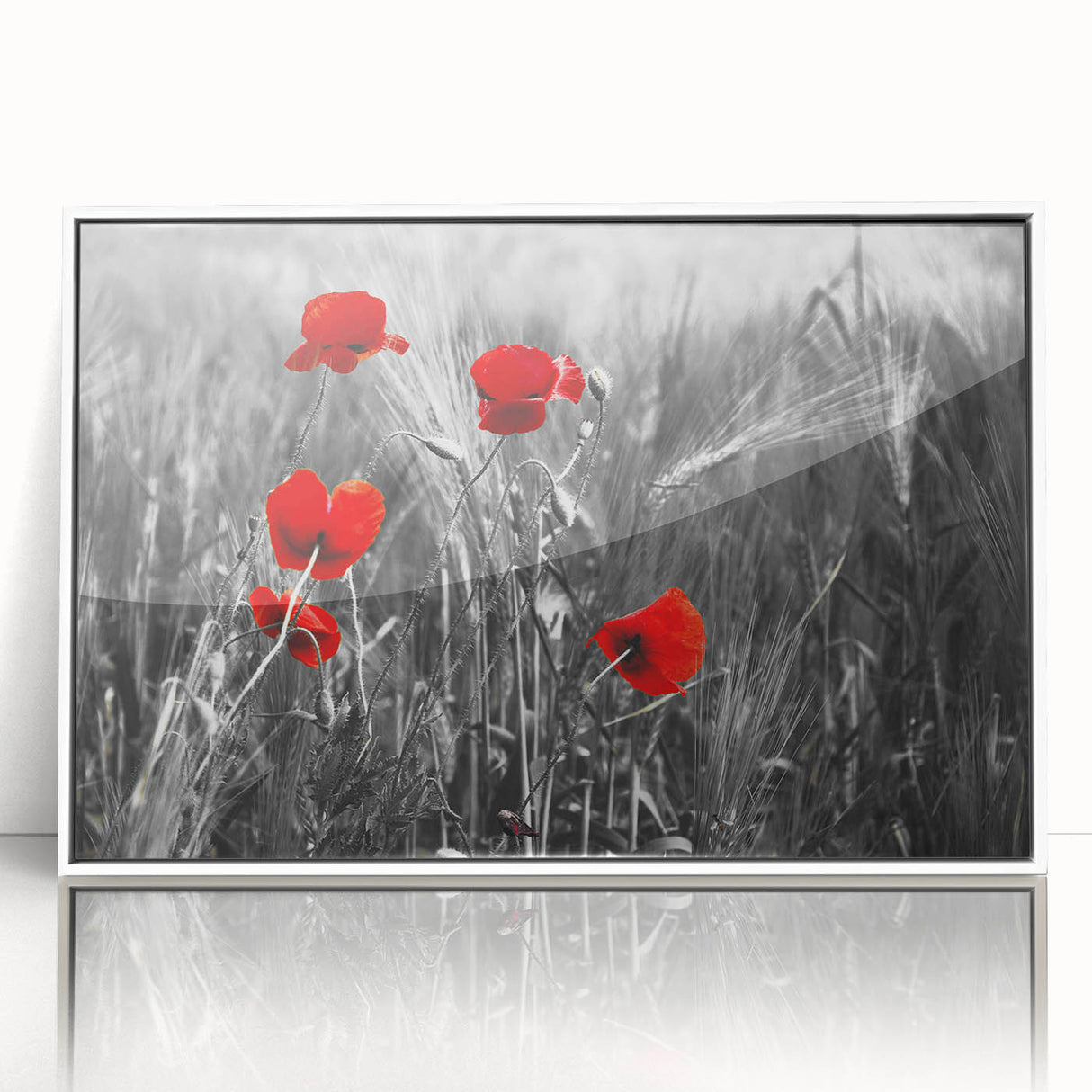 Framed wall art featuring a vibrant botanical poppy design with acrylic glass, showcasing intricate floral details and a clean white border, ideal for home decor.