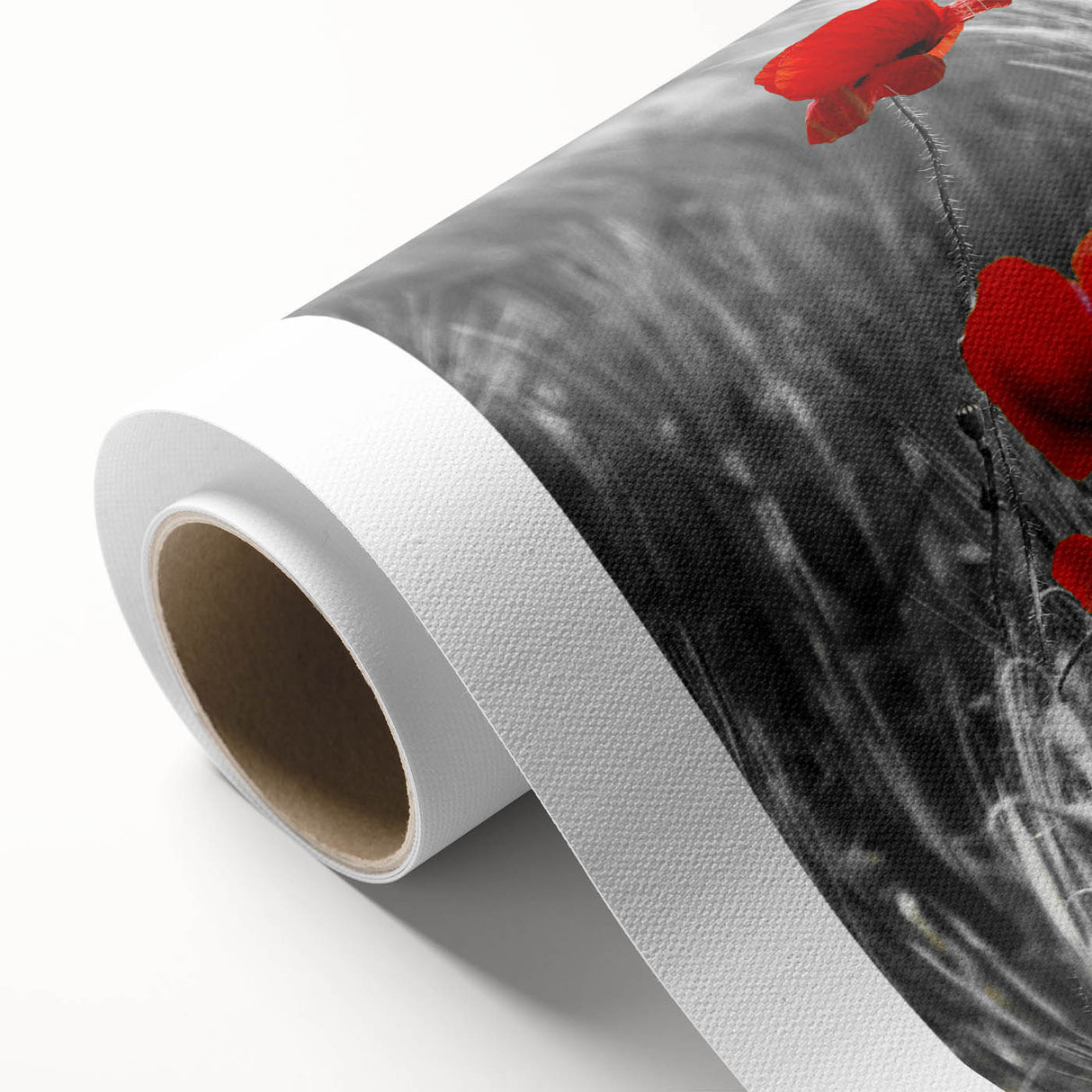Vibrant botanical wall art featuring a detailed poppy design on rolled canvas, showcasing rich colors and intricate textures, perfect for home decor.