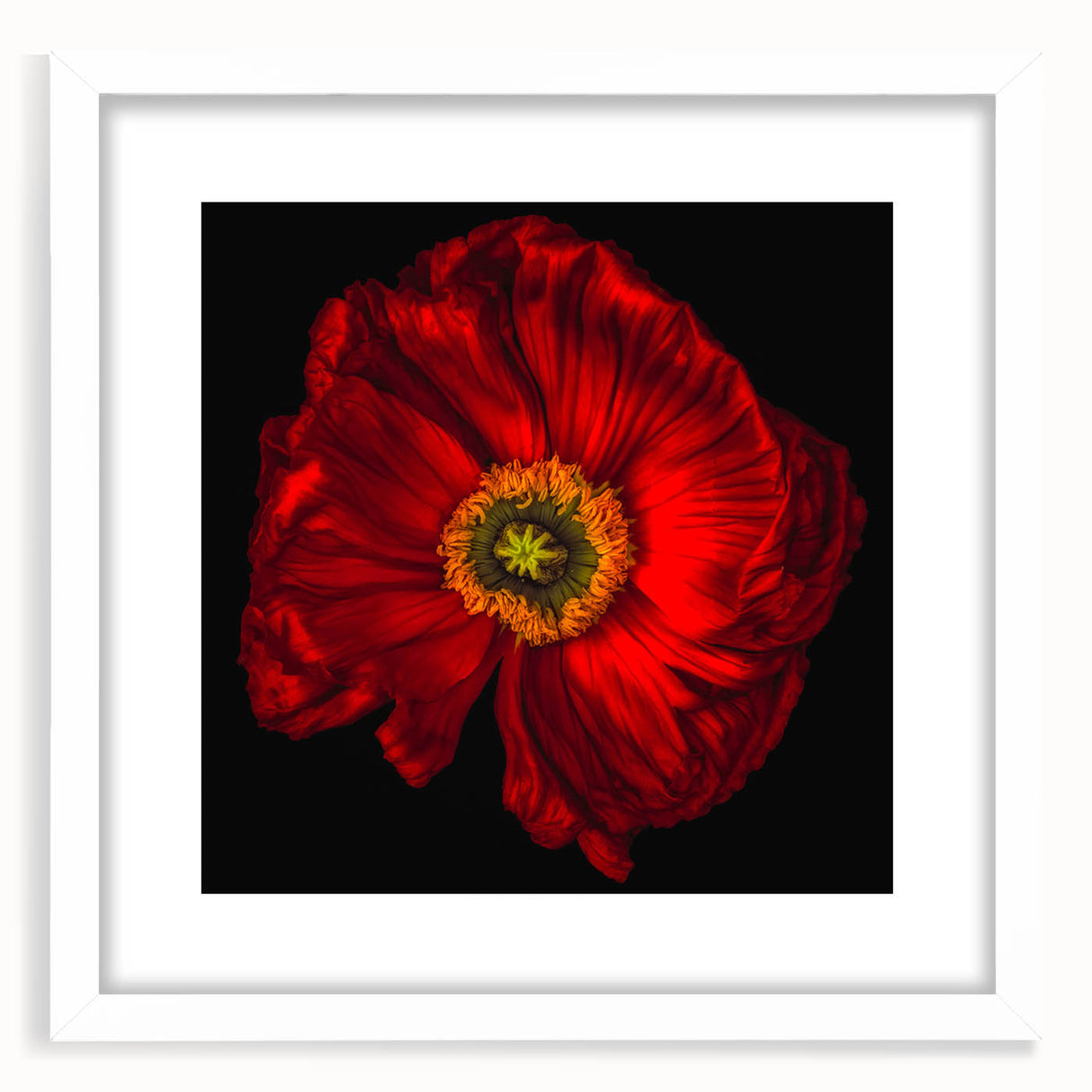 Framed botanical wall art featuring a delicate poppy design, showcased in a sleek white frame with a mat, ideal for home decor and enhancing interior aesthetics.