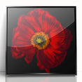 Framed botanical wall art featuring vibrant poppy design with a sleek black frame, perfect for adding a touch of nature-inspired elegance to home decor.