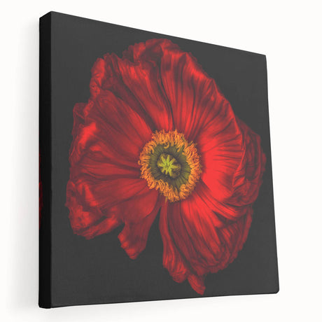 Stretched canvas wall art showcasing a vibrant poppy botanical design in rich colors, with a side view highlighting its 3D texture and quality craftsmanship.