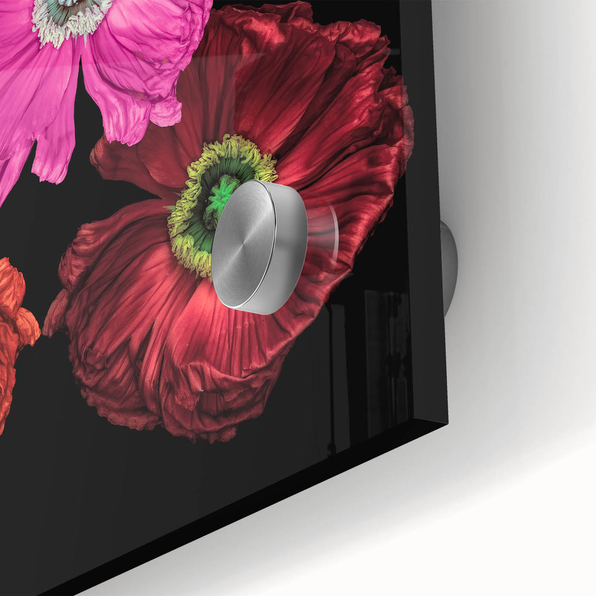 Vibrant close-up of a botanical poppy wall art design, showcasing intricate floral details in bright colors, displayed on acrylic glass for a modern aesthetic.