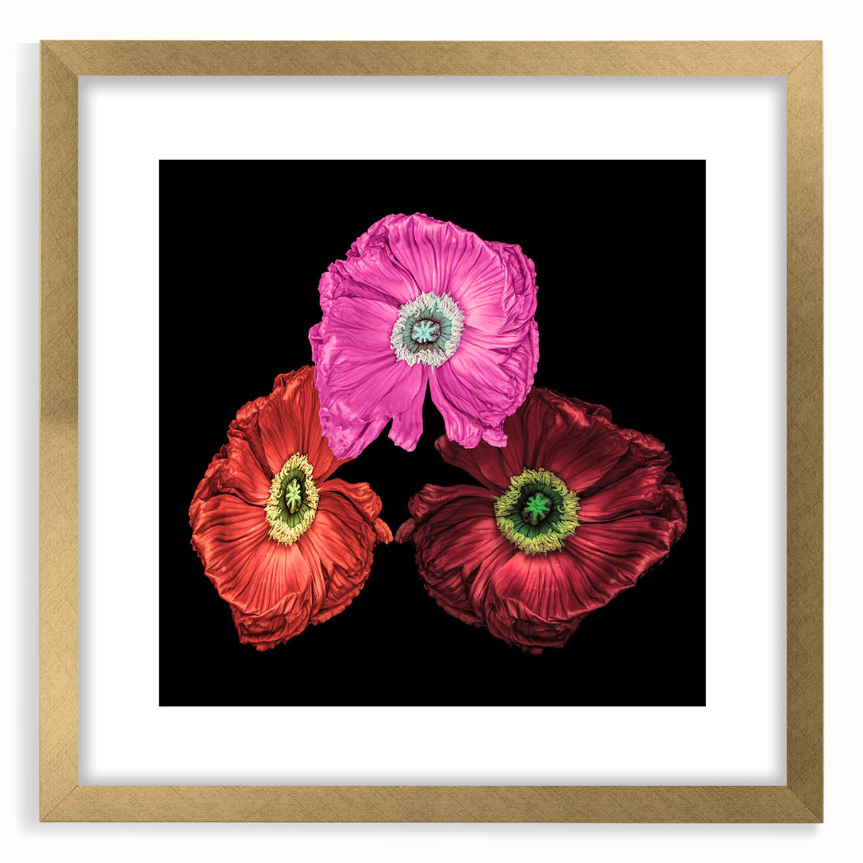 Botanical wall art featuring a vibrant poppy design in a gold frame with mat, showcasing intricate floral details and elegant presentation for home decor.