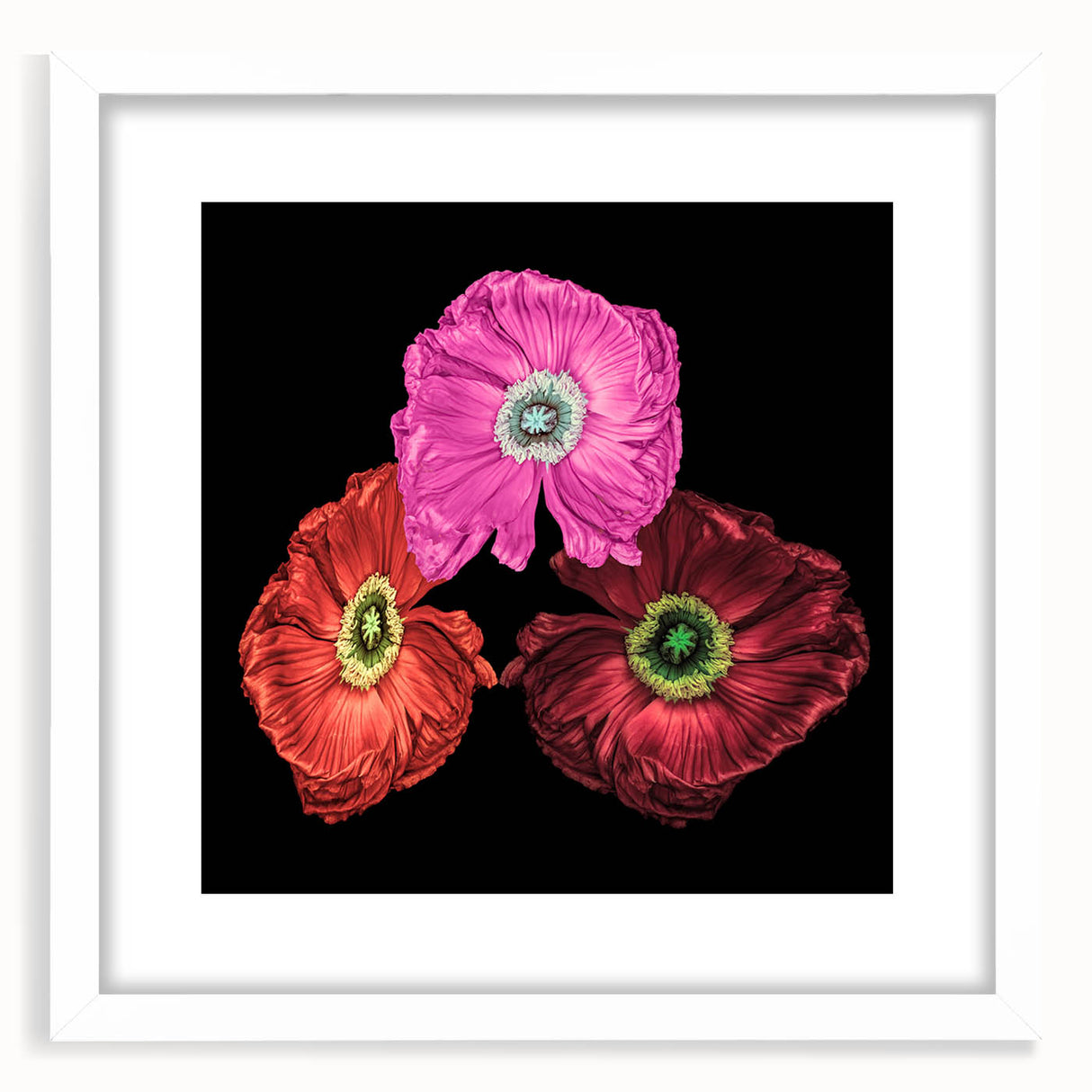 Framed botanical wall art showcasing a vibrant poppy design with a white mat, perfect for home decor. Ideal for floral enthusiasts and art lovers.