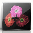 Framed wall art featuring a botanical poppy design on a black background, showcasing vibrant colors and intricate details, adding elegance to any space.
