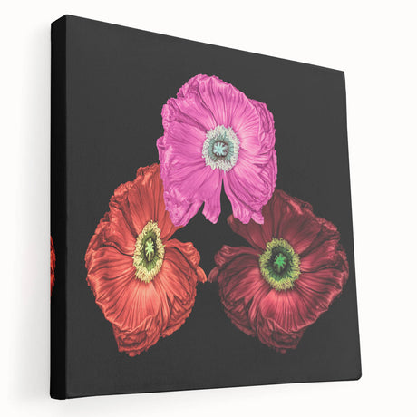 Stretched canvas wall art showcasing a vibrant botanical poppy design in a side view, perfect for adding a splash of color and nature-inspired decor to any space.