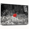 Botanical poppy wall art design displayed in acrylic glass, showcasing vivid colors and intricate details, perfect for modern home decor. Ideal for floral enthusiasts.