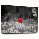 Acrylic glass wall art showcasing a botanical poppy design in vibrant colors, elegantly displayed from a side view, highlighting its modern aesthetic and frameless style.