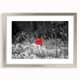 Framed botanical wall art featuring a delicate poppy design with a silver frame and mat, ideal for home decor and floral-themed interiors.