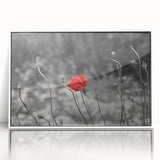 Framed wall art featuring a botanical poppy design with vibrant red and green colors, elegantly displayed in a white frame, perfect for home decor enhancement.