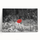 Botanical wall art featuring vibrant red poppies on a stretched canvas, elegantly leaning against a neutral backdrop, perfect for home decor enhancement.
