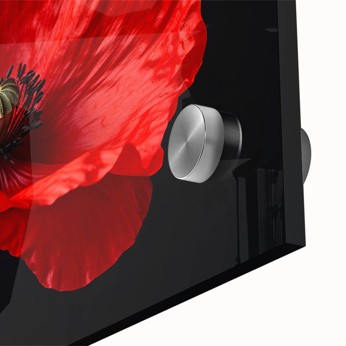 Close-up of a vibrant botanical wall art piece featuring delicate pink poppy flowers on an acrylic glass background, perfect for enhancing home decor with a touch of nature.