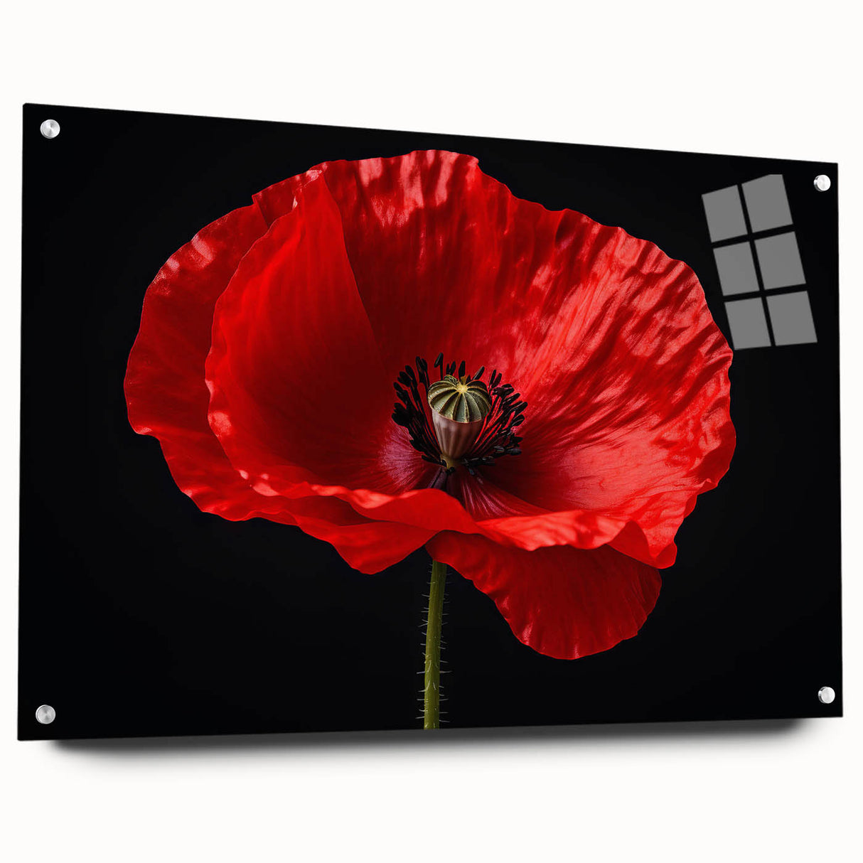 Acrylic glass wall art featuring a vibrant poppy botanical design in a side view, showcasing intricate details and mounted with pins for easy display. Ideal for enhancing any modern decor with floral elegance.
