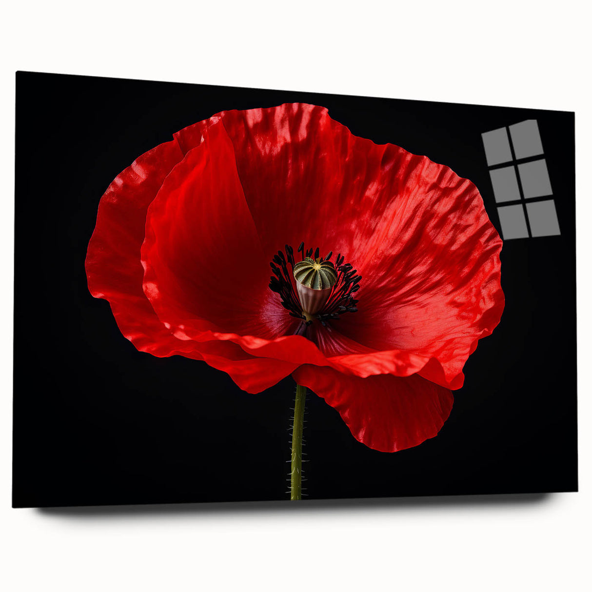Acrylic glass wall art showcasing a botanical poppy design in vibrant colors, elegantly displayed from a side view, perfect for home decor and floral enthusiasts.