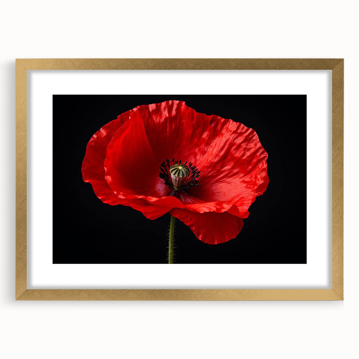 Botanical wall art featuring a delicate poppy design in a gold frame with a mat, showcasing vibrant colors and intricate details, perfect for home decor.