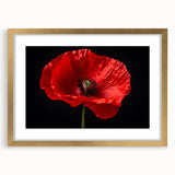 Botanical wall art featuring a delicate poppy design in a gold frame with a mat, showcasing vibrant colors and intricate details, perfect for home decor.