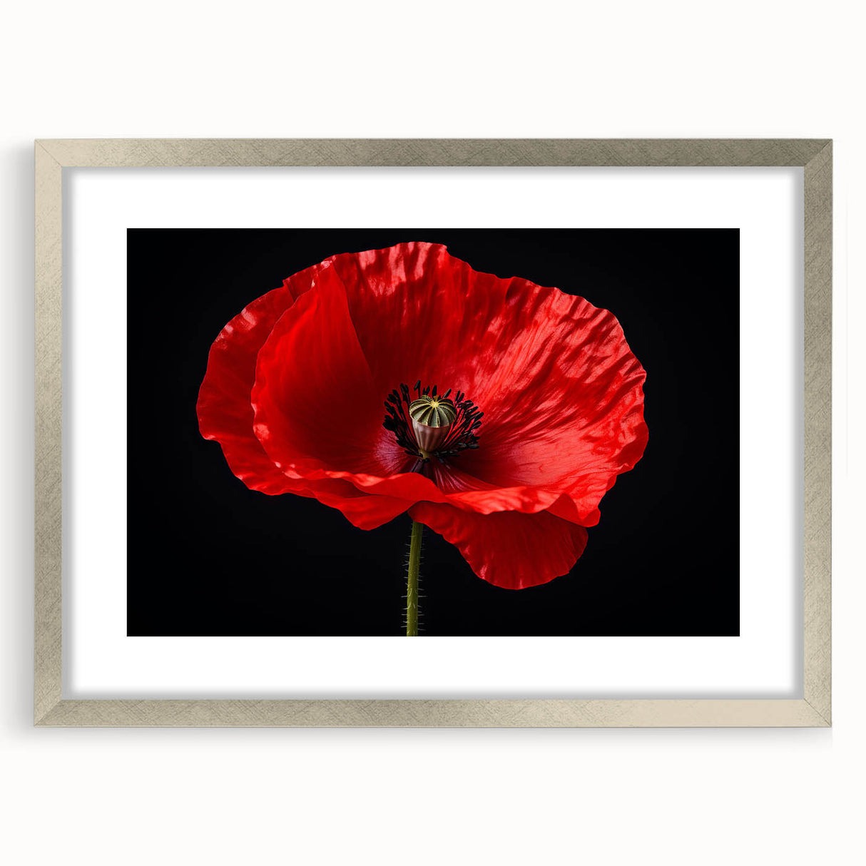Botanical wall art collection featuring a vibrant poppy design in a silver frame with matting, perfect for enhancing any modern decor. This artwork adds a touch of nature-inspired elegance to living spaces.