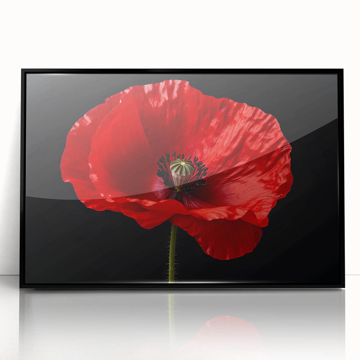 Framed wall art featuring a botanical poppy design on a black background, showcasing vibrant colors and intricate details, perfect for home decor enhancement.