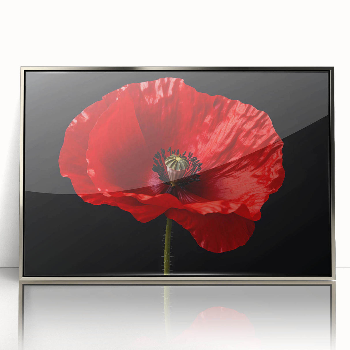 Framed botanical wall art featuring a vibrant poppy design in a silver frame, showcasing detailed floral elements and a modern aesthetic ideal for home decor.