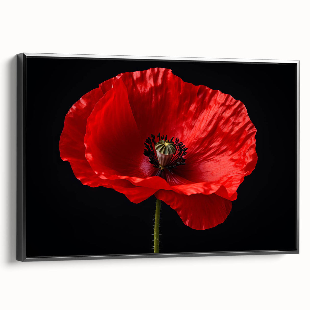Framed canvas wall art featuring a botanical poppy design in vibrant colors, set against a black background, showcasing elegant floral details and a modern aesthetic ideal for home decor.