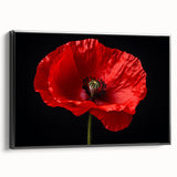 Framed canvas wall art featuring a botanical poppy design in vibrant colors, set against a black background, showcasing elegant floral details and a modern aesthetic ideal for home decor.