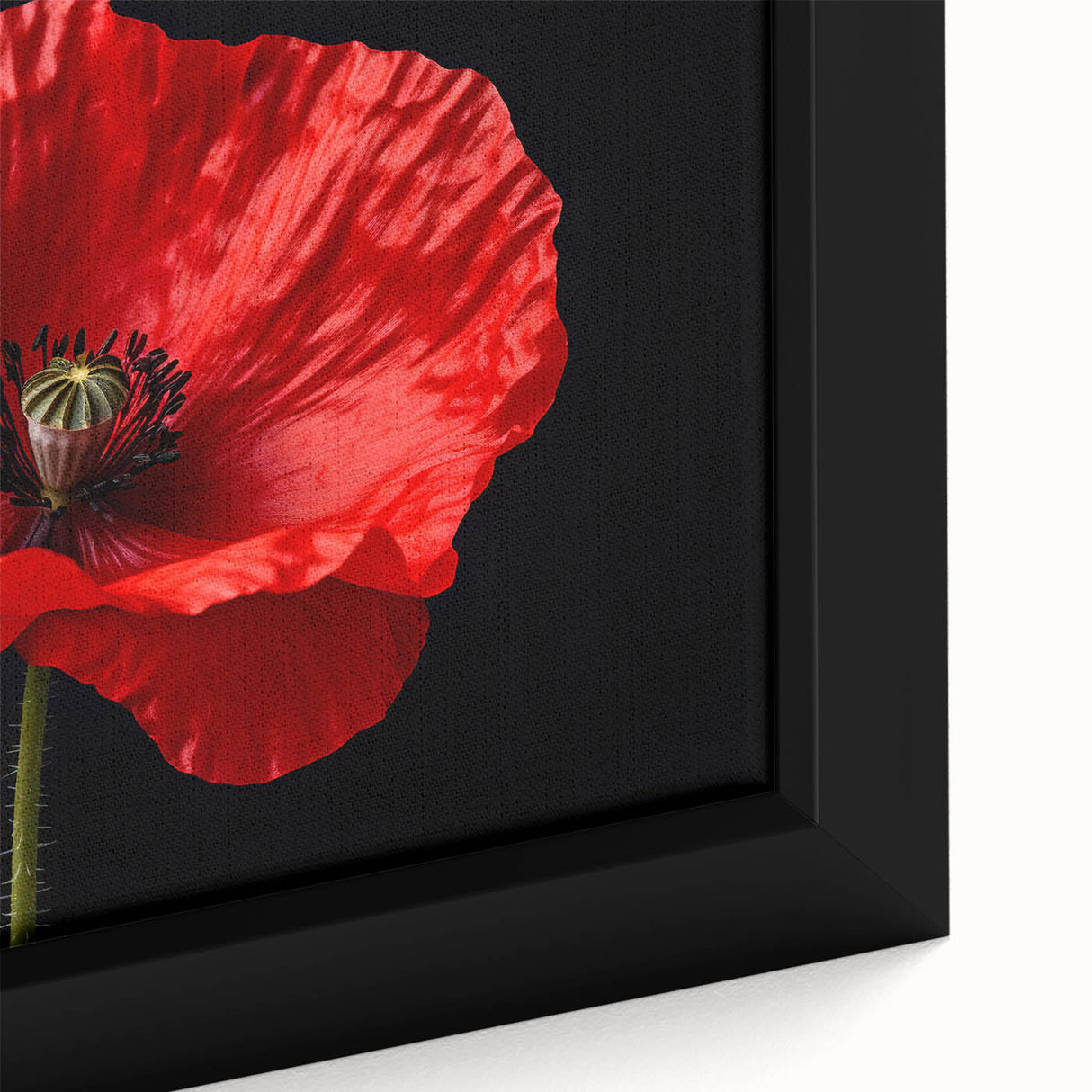 Close-up of a framed canvas wall art featuring a vibrant botanical design of poppies in shades of red and green, showcasing intricate details and textures perfect for home decor.