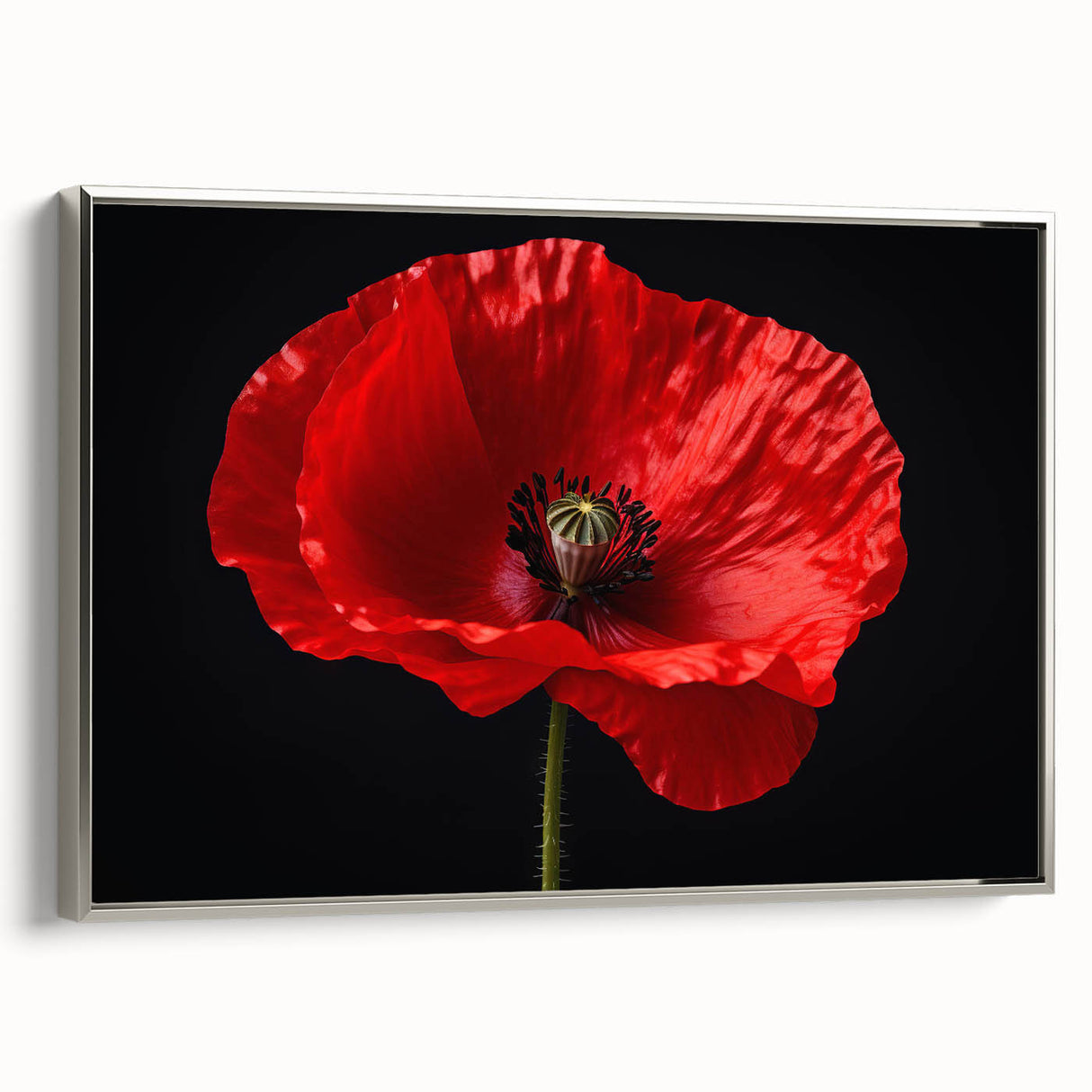 Framed canvas wall art showcasing a vibrant poppy botanical design, elegantly bordered in silver, perfect for enhancing modern home decor with a touch of nature.