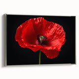 Framed canvas wall art showcasing a vibrant poppy botanical design, elegantly bordered in silver, perfect for enhancing modern home decor with a touch of nature.