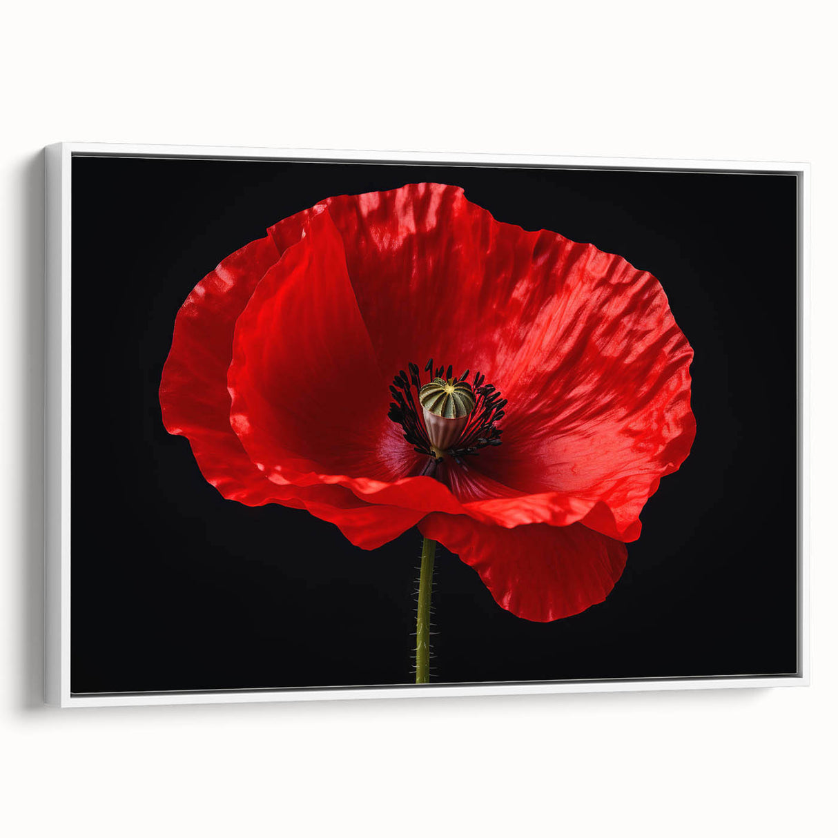 Framed canvas wall art showcasing a vibrant poppy botanical design, featuring rich colors and intricate details, perfect for adding elegance to any room decor.