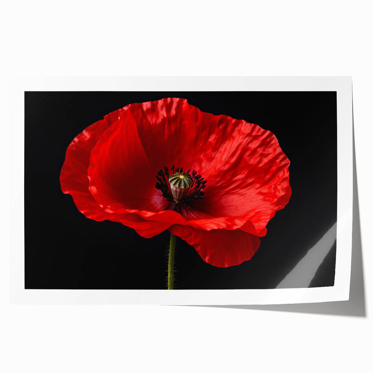 Bright and vibrant botanical wall art featuring a poppy design in bold colors, ideal for home decor. Printed on high-quality paper, showcasing intricate details.