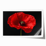Bright and vibrant botanical wall art featuring a poppy design in bold colors, ideal for home decor. Printed on high-quality paper, showcasing intricate details.