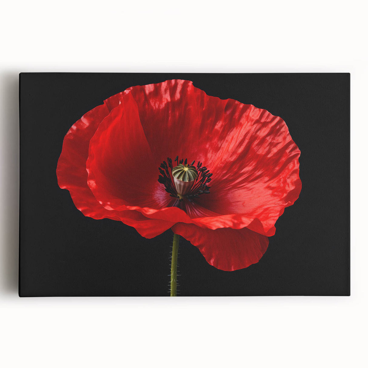 Stretched canvas wall art showcasing a vibrant botanical poppy design in vivid colors, ideal for brightening living spaces or adding a touch of nature-inspired decor.
