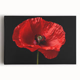 Stretched canvas wall art showcasing a vibrant botanical poppy design in vivid colors, ideal for brightening living spaces or adding a touch of nature-inspired decor.
