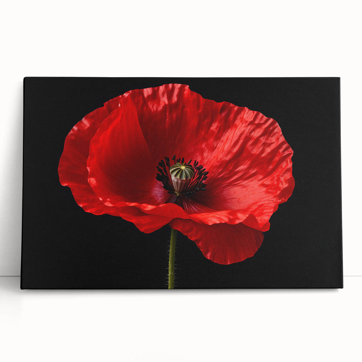 Vibrant botanical poppy wall art design printed on stretched canvas, elegantly leaning against a neutral background, perfect for home decor enhancement.