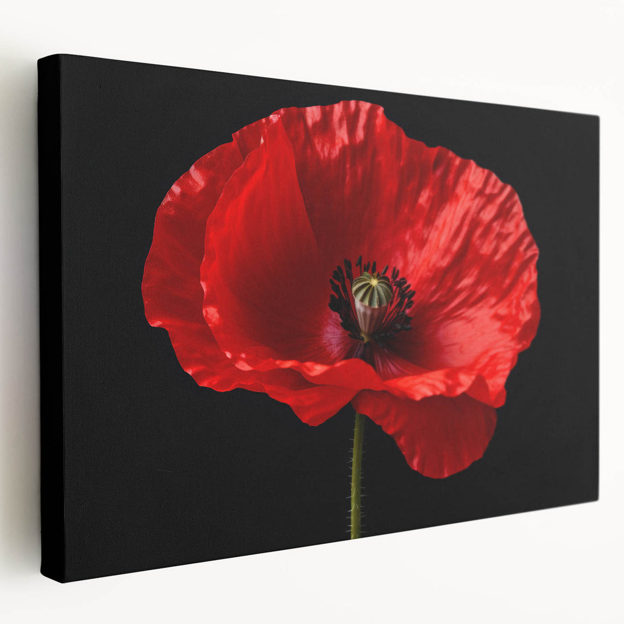 Stretched canvas showcasing a vibrant botanical poppy design, highlighting vivid colors and intricate details, perfect for enhancing home decor with a floral touch.