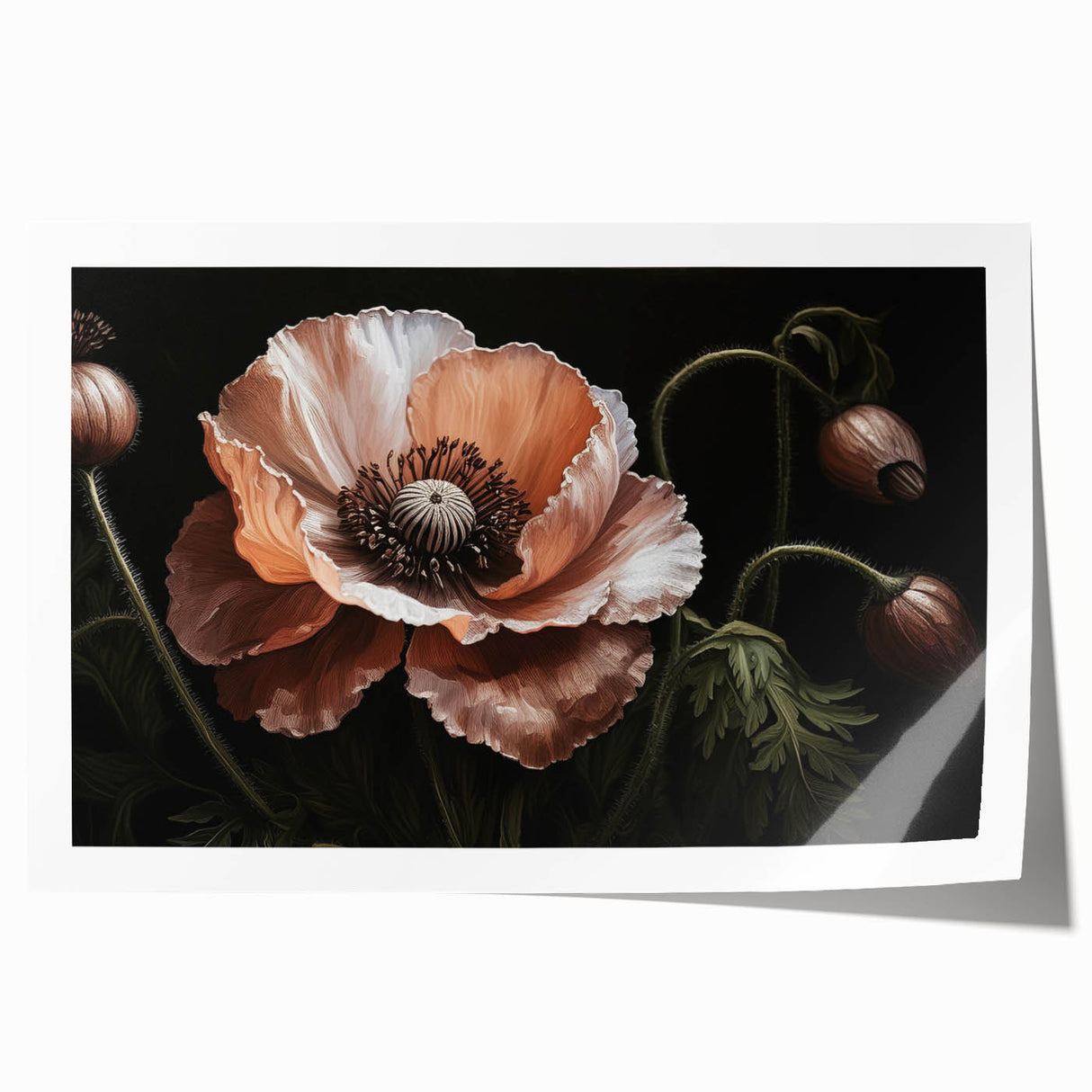 Vibrant botanical poppy wall art print showcasing delicate flower details and rich colors, rolled and ready for display, perfect for home decor enhancement.