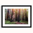 Framed wall art featuring a botanical design with redwood trees and vibrant flowers, set in a sleek black frame with a mat, ideal for nature-themed decor.