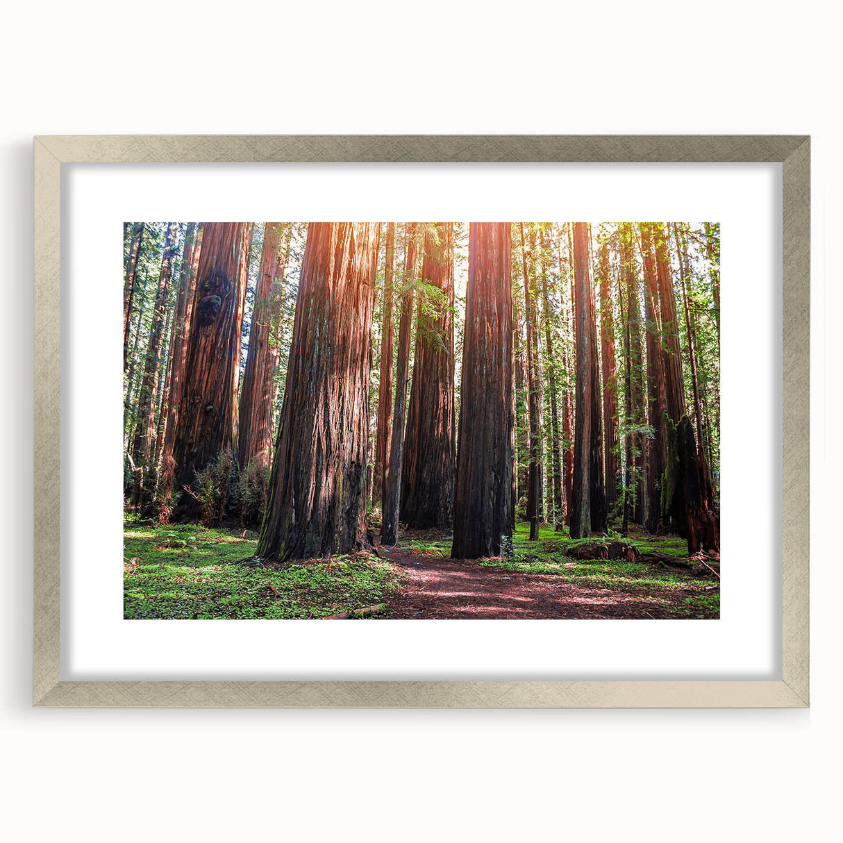 Botanical wall art featuring vibrant redwood trees and colorful flowers, framed with a sleek silver mat, perfect for enhancing modern home decor.