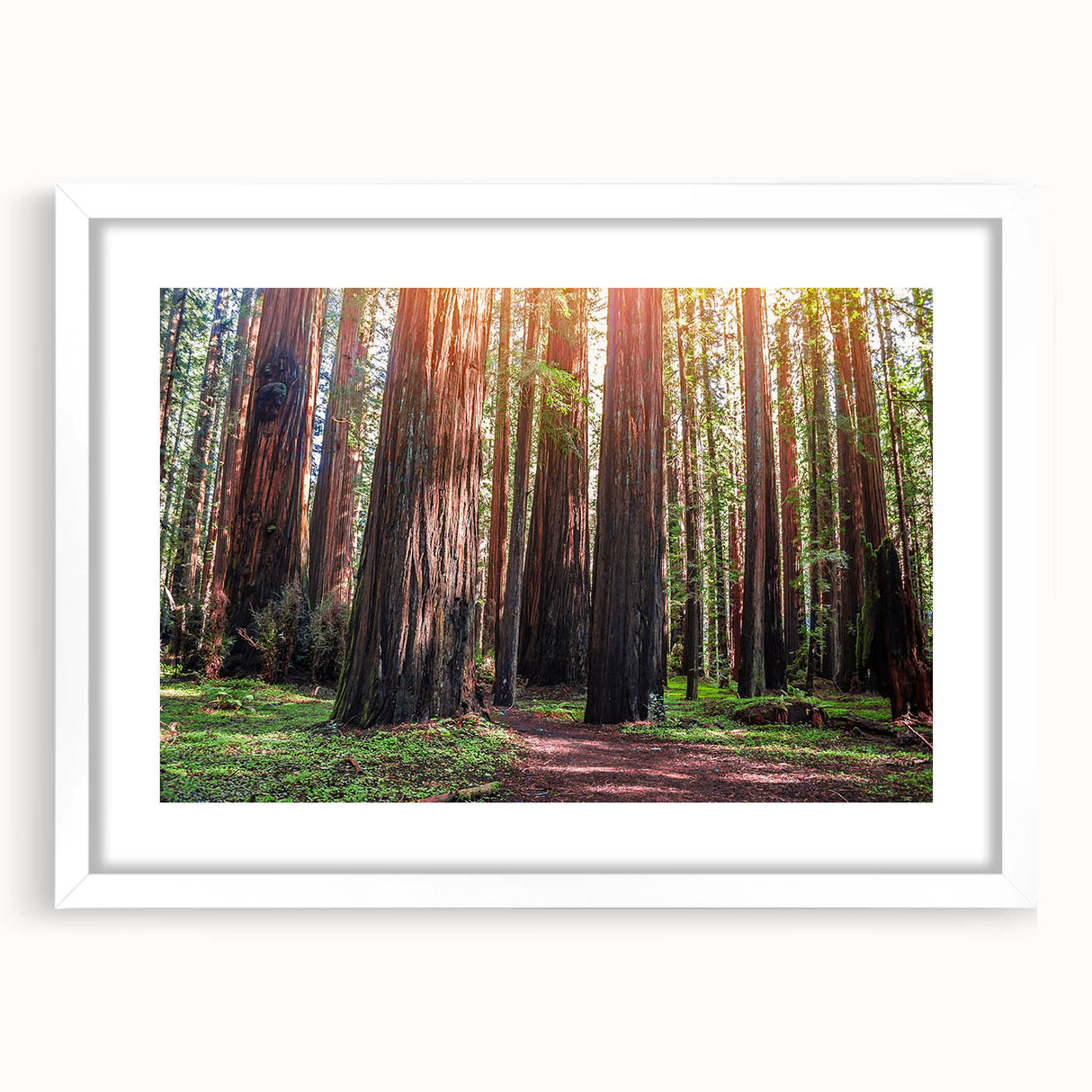Framed botanical wall art featuring vibrant redwood trees and colorful flowers, displayed with a white mat, ideal for nature-inspired home decor.